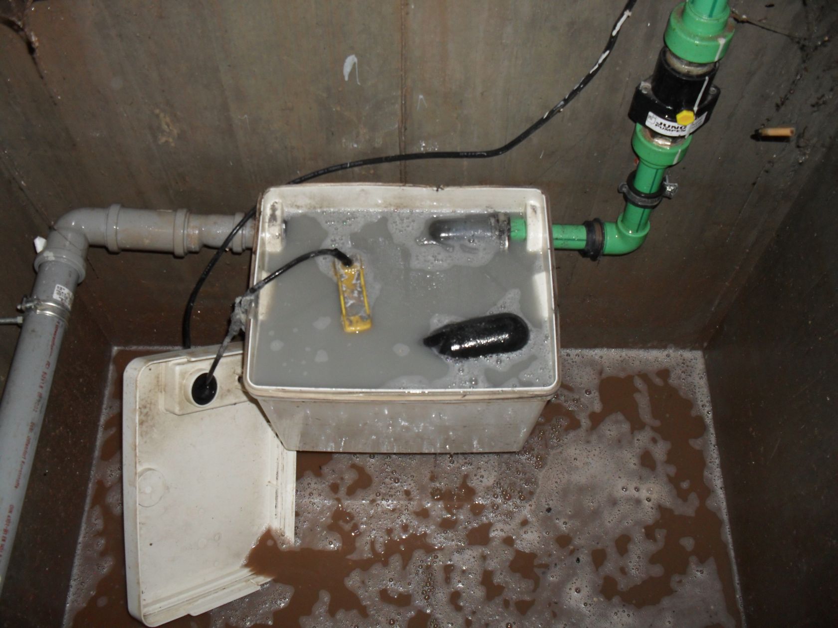Notdienst Nußloch: Hebeanlage für Waschmaschinenraum defekt